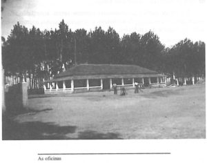 damba-missao-oficinas-copie-1