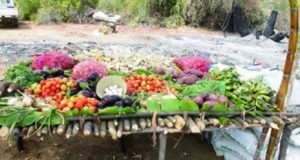 huila