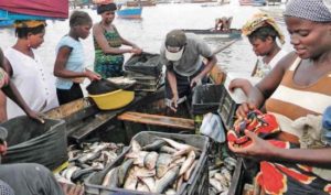 pescas_angola