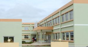uini vita