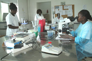 hospital do zombo