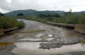 Viata alegre