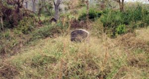 images_cms-image-000014882