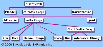 language-family-Niger-Congo-branches