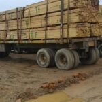 UÍGE PREVÊ EXPLORAR NO PRESENTE ANO 46 MIL CÚBICOS DE MADEIRA