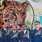 O Leopardo Sagrado: De Kemet ao Congo