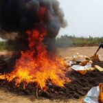 POLÍCIA NACIONAL NO BEMBE DESCARTA 25 SACOS DE “LIAMBA” POR MEIO DE INCINERAÇÃO
